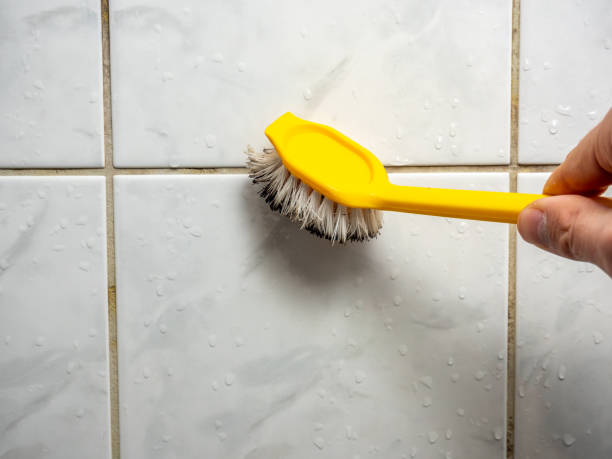 Best Black Mold Removal  in Bull Mountain, OR